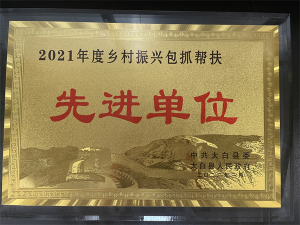喜讯|陕西BC贷集团村落振兴工作获赞美 喜讯|陕西BC贷集团村落振兴工作获赞美